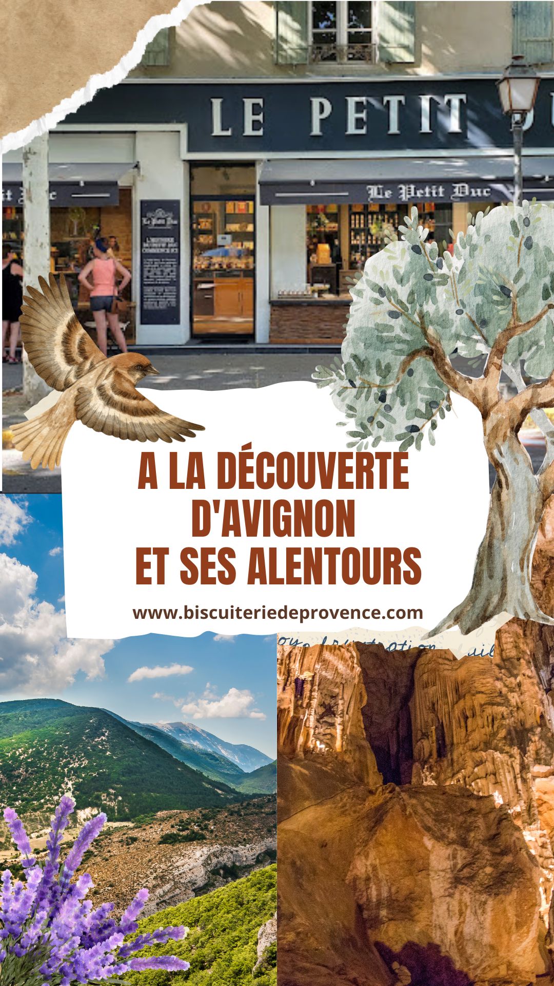 que faire à Avignon et alentours